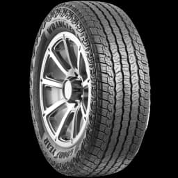 Goodyear Wrangler Territory AT 20" angled tire