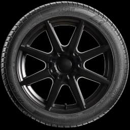 Iris Sefar 17" side tire