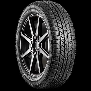 Tornel Direccional tire