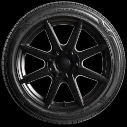 Nexen Roadian GTX 20" side tire