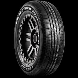 Dunlop Grandtrek PT21 (P) 17" angled tire