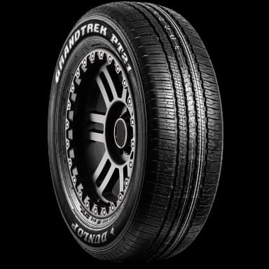 Dunlop Grandtrek PT21 (P) tire