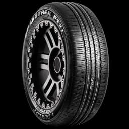 Dunlop Grandtrek PT21 (P) 20" angled tire