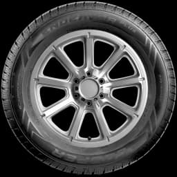 Cooper Endeavor Plus 20" side tire