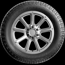 BFGoodrich Trail Terrain T/A 20" side tire