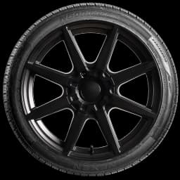 Nexen N5000 Platinum 17" side tire