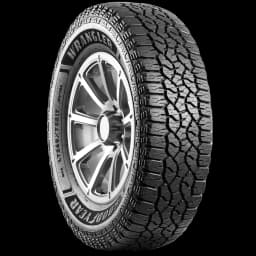 Goodyear Wrangler Workhorse AT 17" angled tire