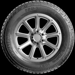Armstrong Tru-Trac AT 17" side tire