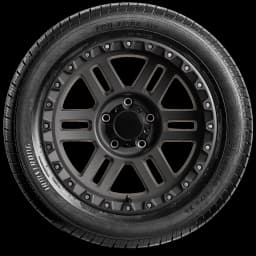 Armstrong Tru-Trac HT 20" side tire