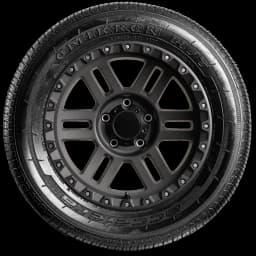 Accelera Omikron HT 17" side tire