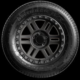 Accelera Omikron HT 17" side tire