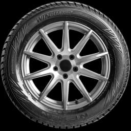 Nexen Winguard Winspike WH62 17" side tire