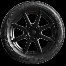 Nexen Winguard Winspike WH62 20" side tire