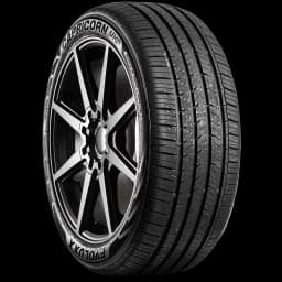 Evoluxx Capricorn UHP 17" angled tire