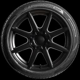 Evoluxx Capricorn UHP 20" side tire