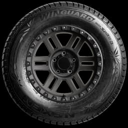 Nexen Winguard Winspike 3 17" side tire