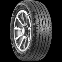 Goodyear Wrangler Workhorse HT 20" angled tire