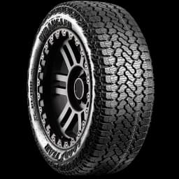 Goodyear Wrangler Territory RT 20" angled tire