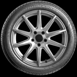 GreenMax Optimum Sport HP 20" side tire